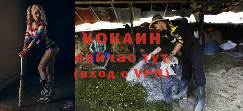 Cocaine 97%  кракен зеркало  Шадринск 