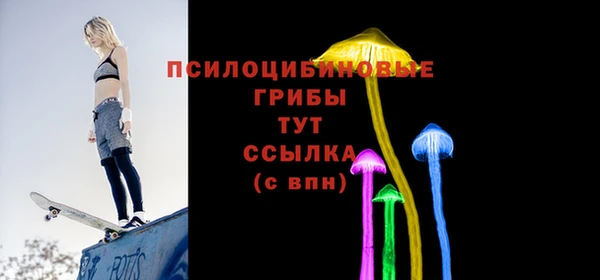хмурый Чегем