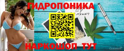 индика Ирбит