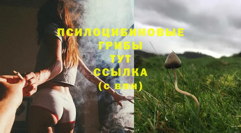 Галлюциногенные грибы MAGIC MUSHROOMS  цена   Шадринск 