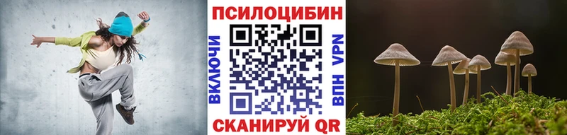 Псилоцибиновые грибы мухоморы  маркетплейс наркотические препараты  Шадринск 