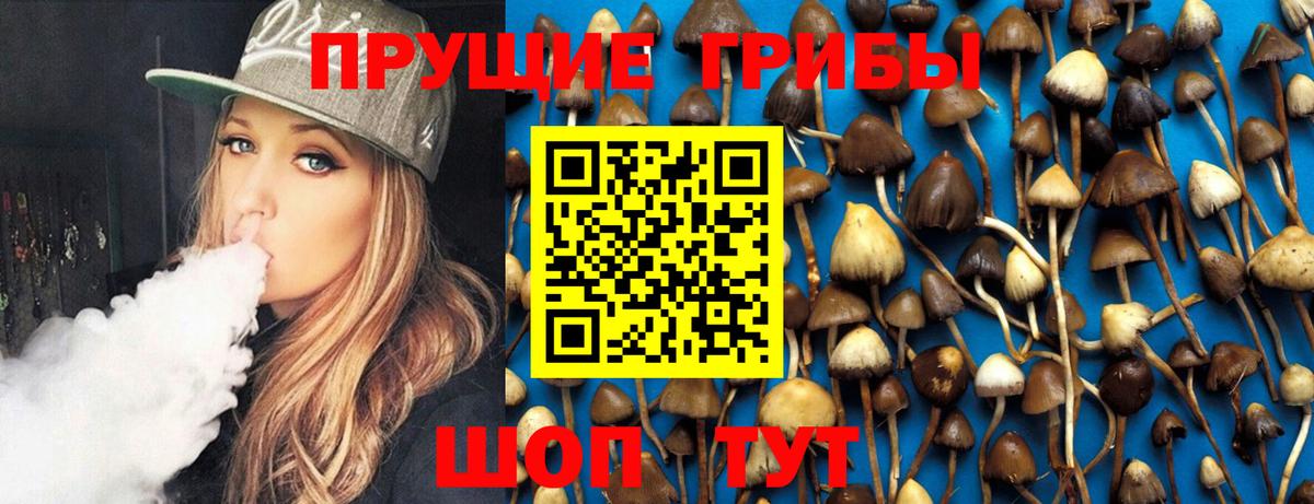 Галлюциногенные грибы Psilocybe  Псилоцибиновые грибы Magic Shrooms  Вход с VPN  Шадринск 