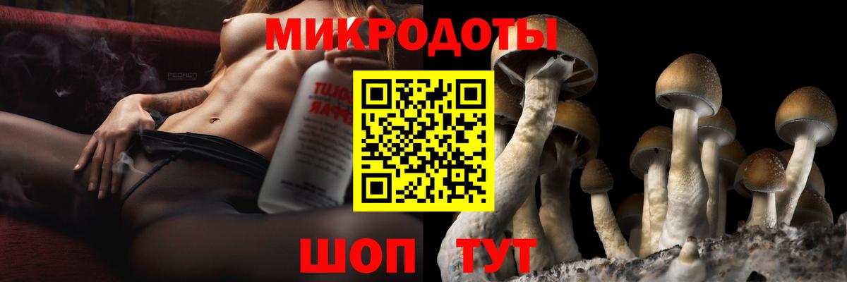 Псилоцибиновые грибы Cubensis Шадринск