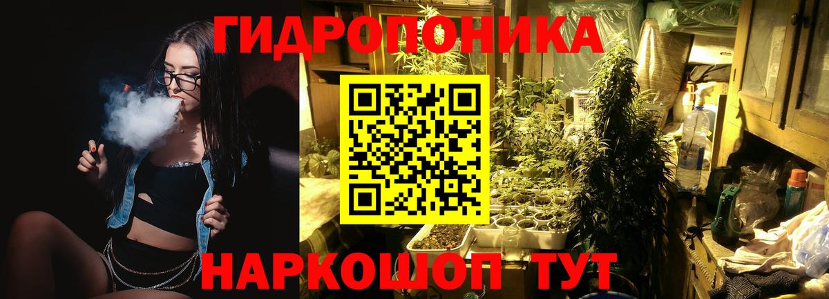 Каннабис сатива  МАРИХУАНА план  Шишки марихуана план  Шадринск  Вход с VPN 